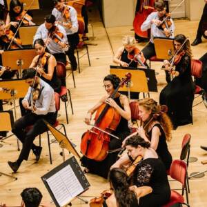 Ελληνική Συμφωνική Ορχήστρα Νέων