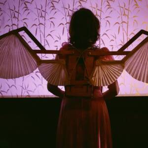 Η γυναίκα και ο ακροβάτης