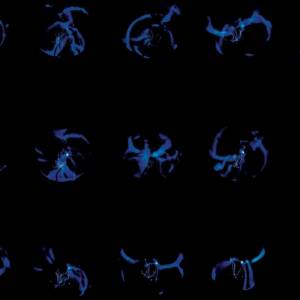 Κ Ω Σ Τ Η Σ - ΜΠΛΕ ΑΛΦΑΒΗΤΟ