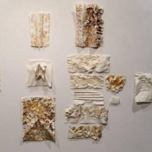 Προϊστορία ή Καταγωγή