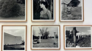 Γιώργος Λάνθιμος