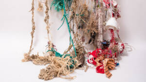 "Rhythms & Rituals of Cohabitation"