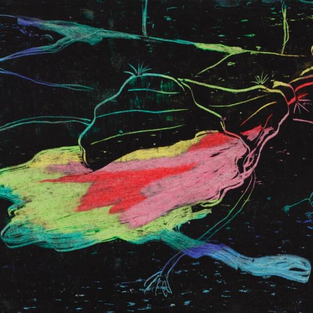David Weiss - Neocolor: