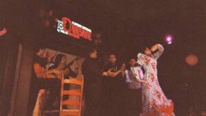 Nuevo flamenco
